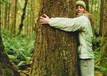 Aby pozbyć się stresu…przytul się do drzewa :)