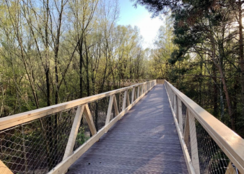 W Poznaniu powstała ścieżka spacerowa w koronach drzew :)