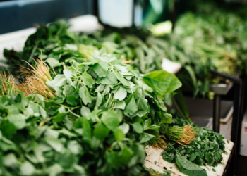 Przyprawy w kuchni- A,B,C