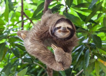 Jak pokonać lenistwo?